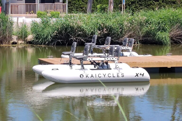 KAICYCLE ONA X4-2